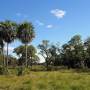 1280px-chaco_boreal_paraguay.jpg